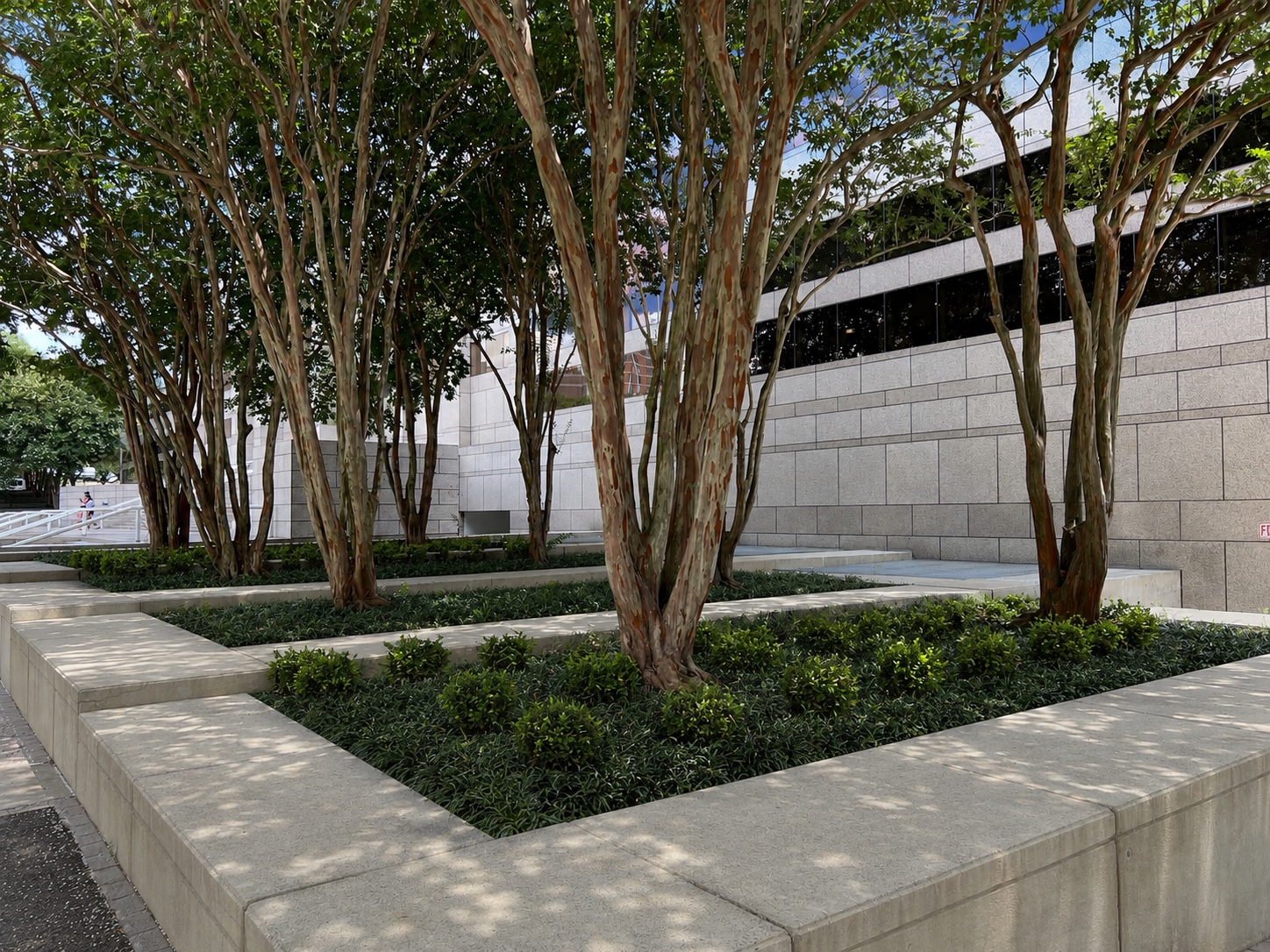 Structured civic planting beds and tree planters at the Charlotte Mecklenburg Government Center.