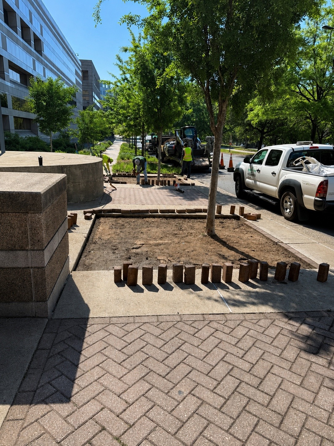 Urban paver and planting area reconstruction in progress with coordinated site access and material staging.