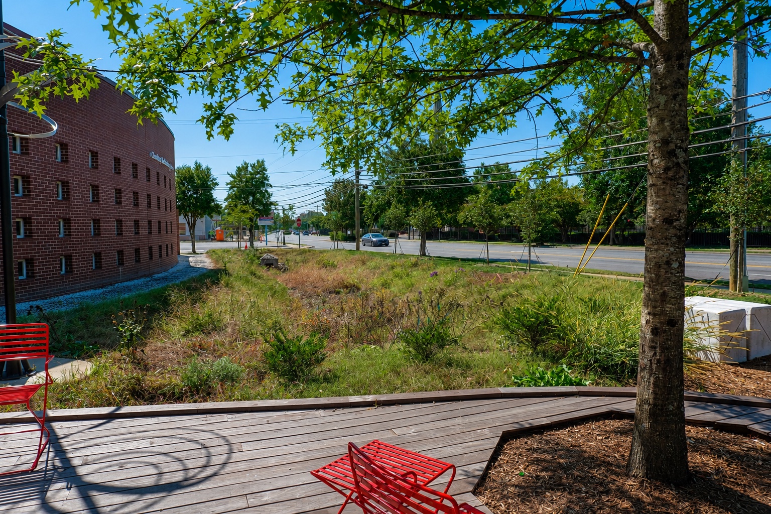 Native-style planting area and outdoor deck at Allegra Westbrooks Regional Library.